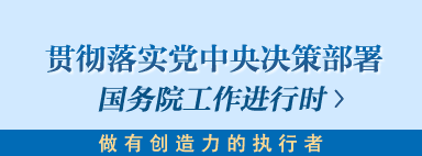 贯彻落实党中央决策部署 国务院工作进行时